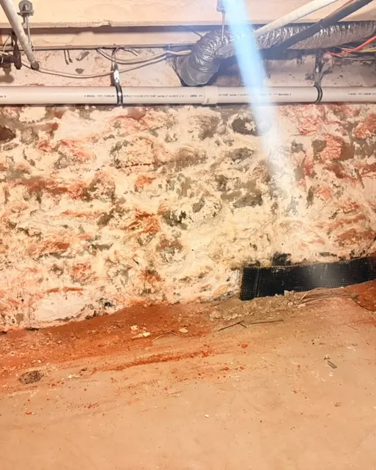 Basement debris cleanout: after